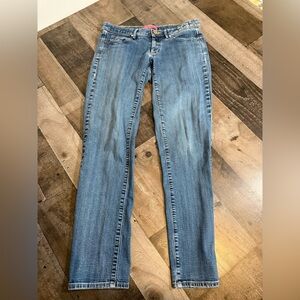 Lilly Pulitzer Skinny Jeans Size 4 | “Anything is Possible”‎ Embroidered Denim